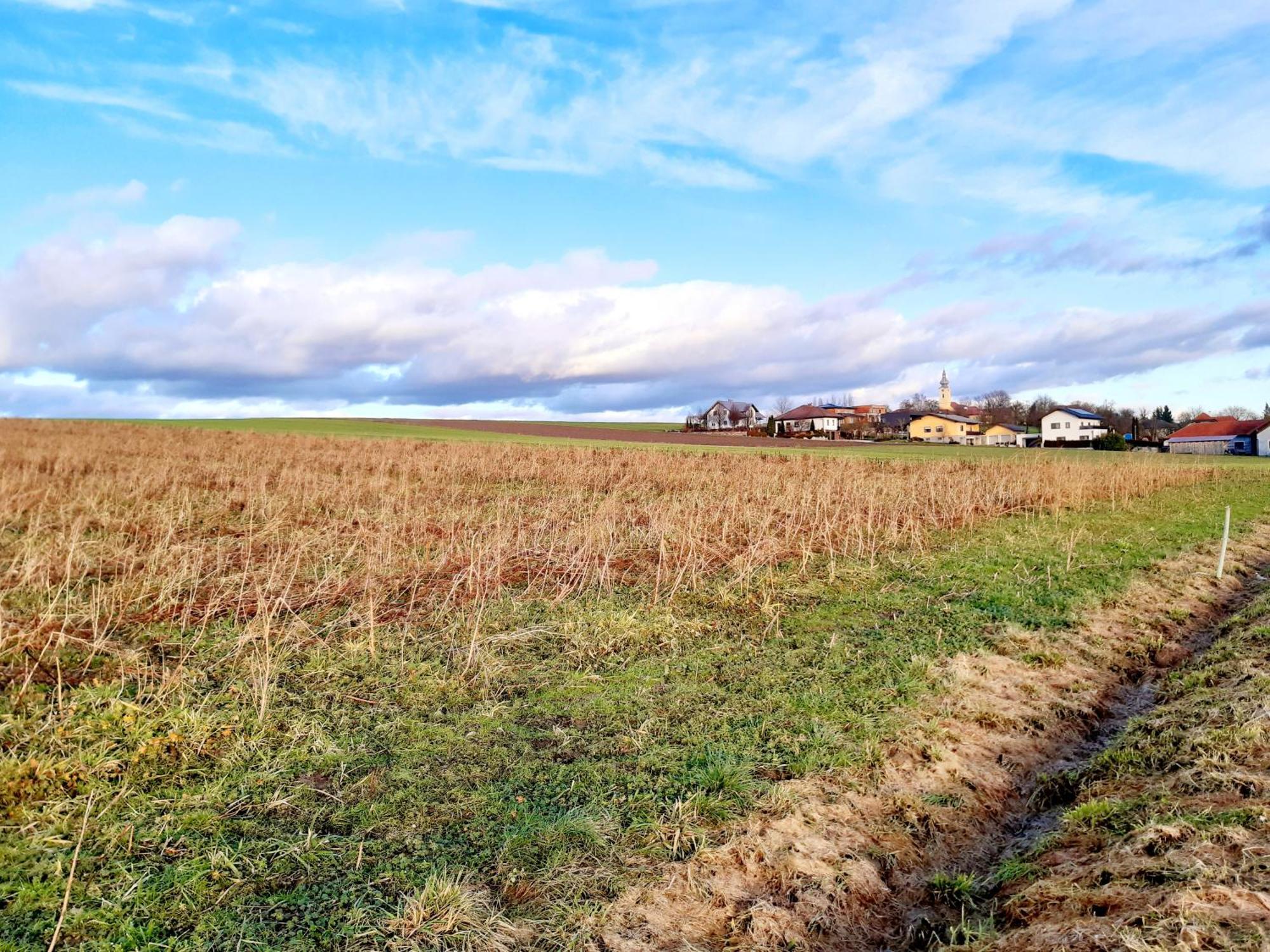 Schoene Altbauwohnung Auf Dem Land Kallham Esterno foto